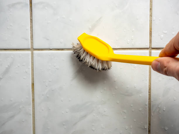 Best Home Mold Removal  in Jacksonwald, PA