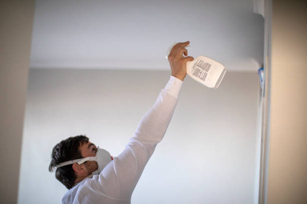 Best Affordable Mold Removal  in Jacksonwald, PA