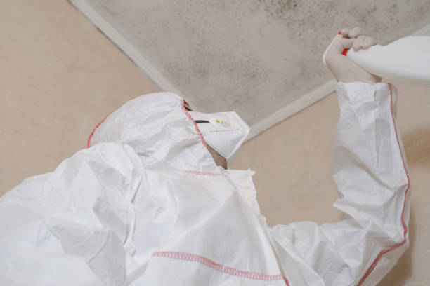 Best Certified Mold Removal  in Jacksonwald, PA