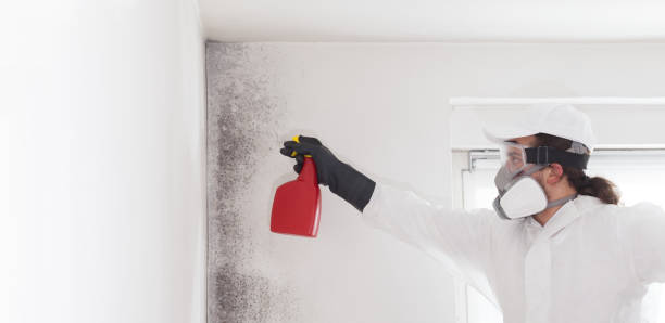 Best Mold Testing  in Jacksonwald, PA