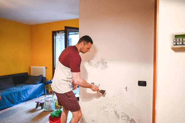 Best Local Mold Removal Service  in Jacksonwald, PA